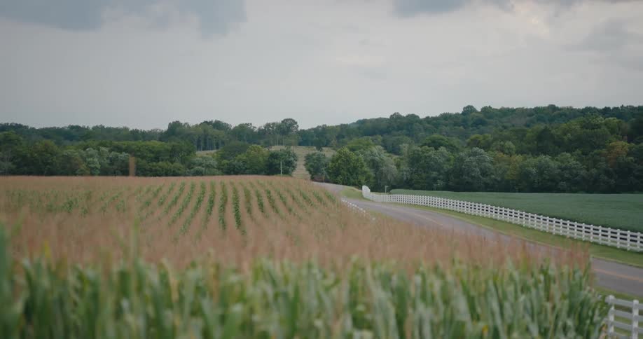 A country road winds past a cornfield toward rolling wooded hills under a cloudy sky