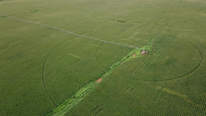 Circles cut in a field of crops with a building in the center