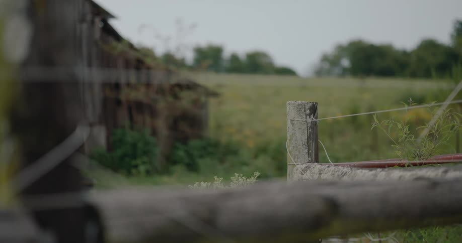 A view of some wood fences and grass outdoors