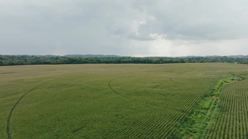 Crops grow in straight lines broken up by a meandering creek