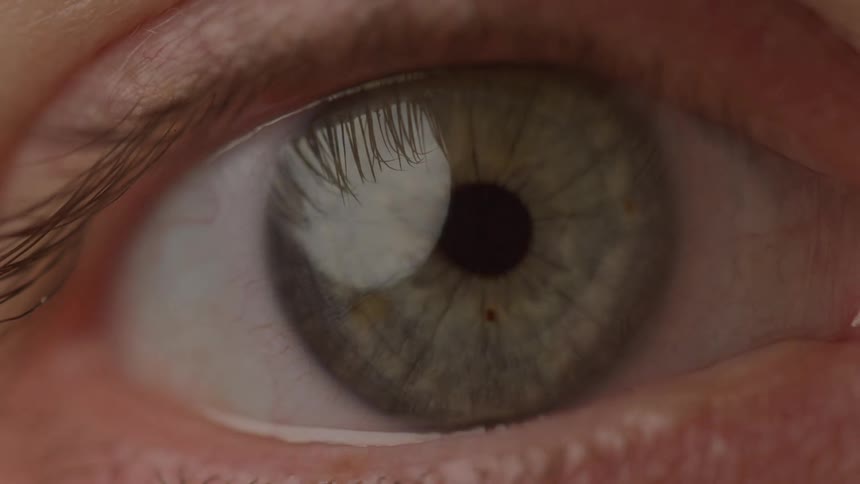 Human eye in closeup reveals detailed iris and eyelashes