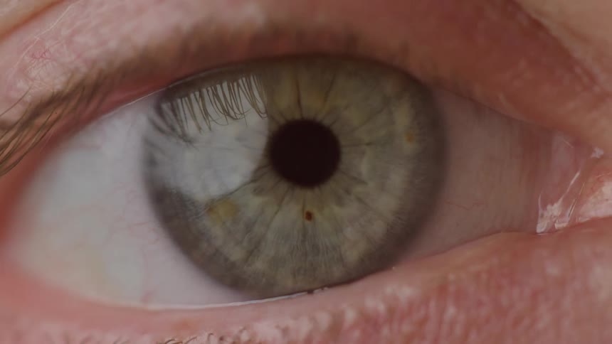 An extreme macro closeup shot begins focused solely on the textured skin of a closed eyelid and lower lashes before the eye snaps wide open to reveal a detailed graygreen or hazel iris with the central pupil
