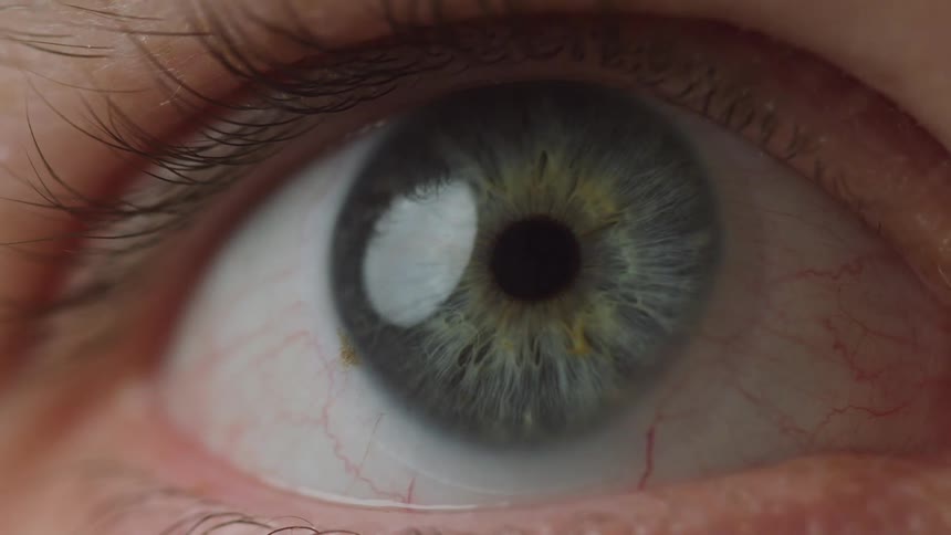 A detailed human eye showcasing a vibrant multicolorediris as the eyeball rotates quickly to look strongly upward and sideways revealing the white sclera crisscrossed with fine red vessels and the sharp detail of the surrounding eyelashes