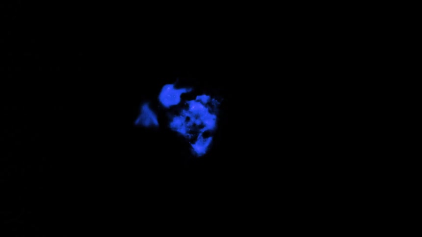 A bright blue flame on a completely black background