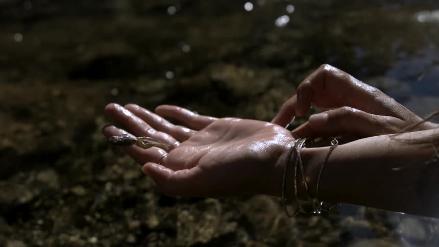 Fish jumping from the palm of a wet hand near the stream