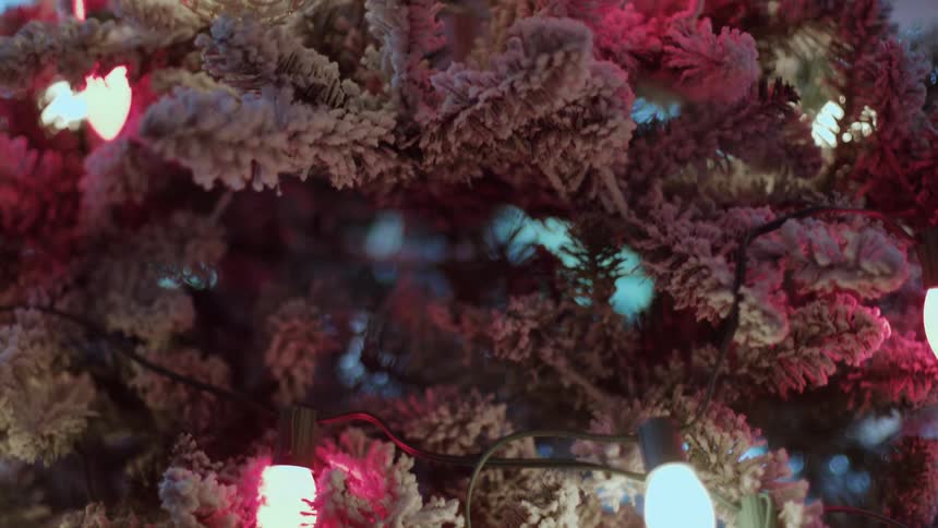 Christmas ornament hanging on a snowy branch with colorful lights around