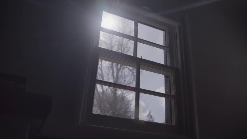 A sixpane window framed in white is seen from a dark indoor space featuring a strong sun flare and revealing the reflection of a bare tree against a bright sky outside