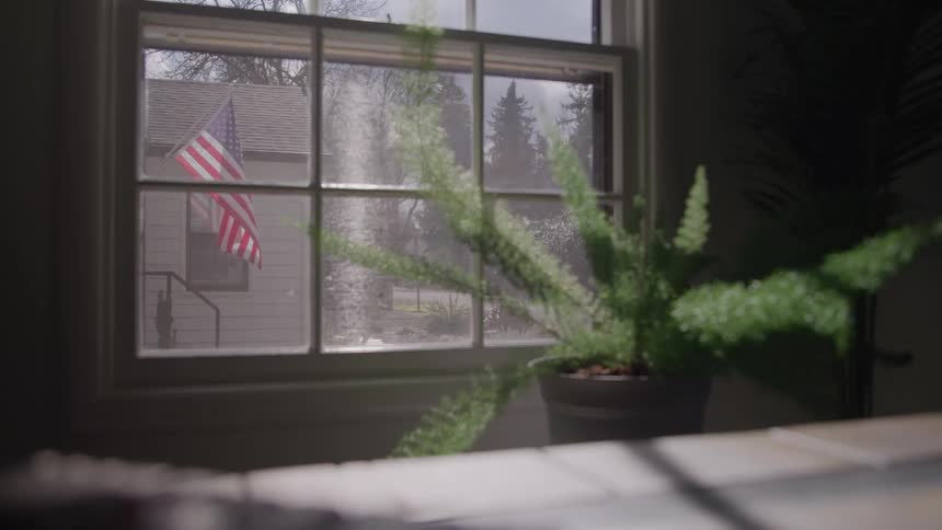 Plant near a window as an american flag waves outside in the wind