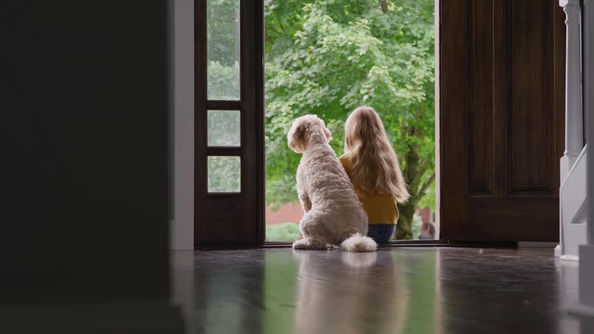 Child sitting beside dog at house entrance looking out at green outdoor area