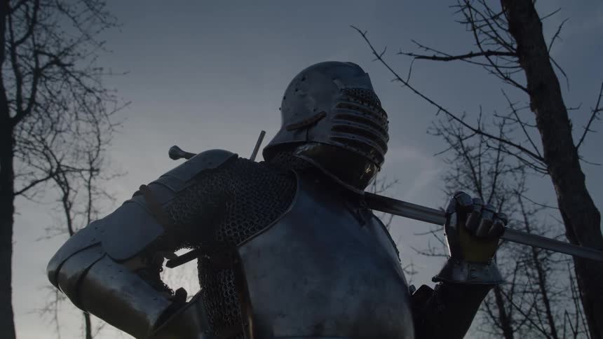 Person in medieval armor holding sword in front of leafless trees at dusk
