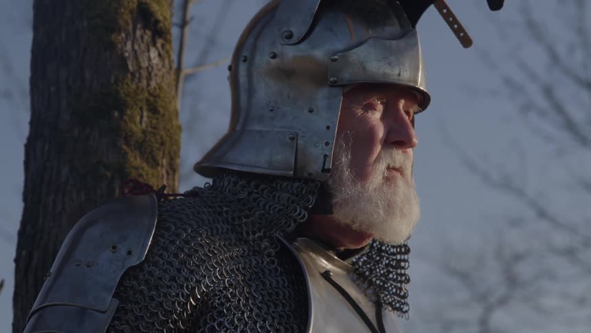 Elderly person wearing full medieval armor beside tree in setting with bare branches