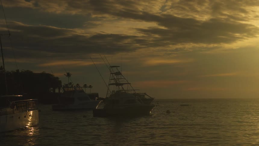 Boats anchored at sunset with golden sky and palm trees in background