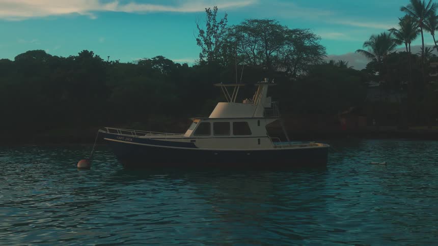 Boat anchored near treelined shore at dusk