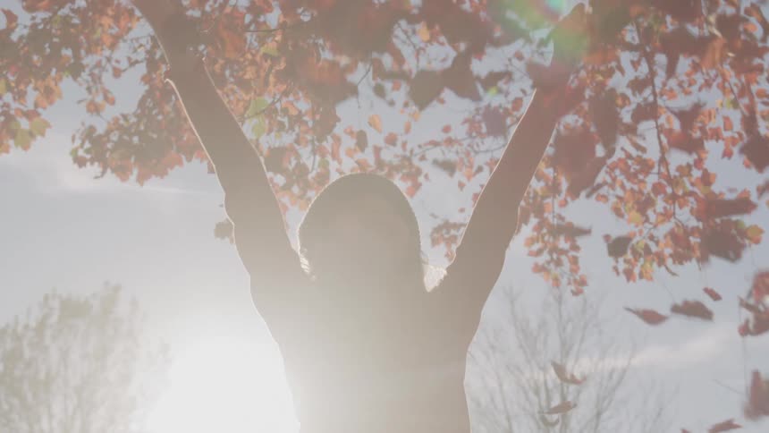A child silhouetted against a bright autumn sun joyfully throws a handful of colorful fall leaves into the air and smiles