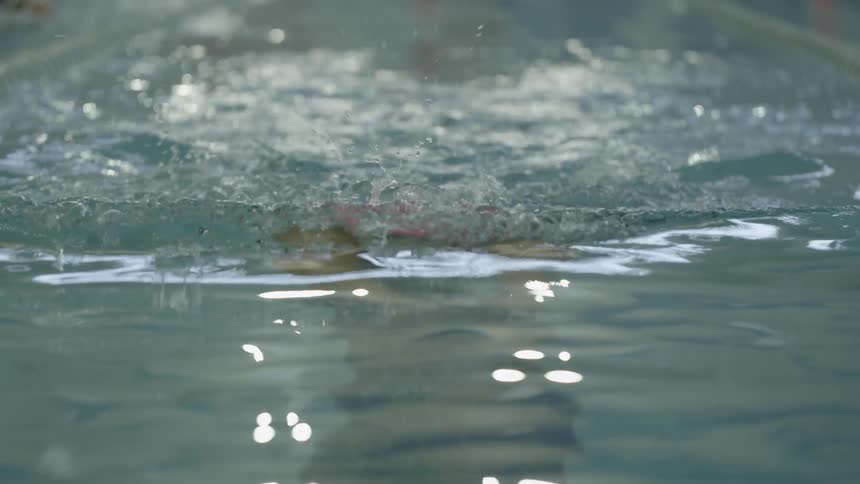 A couple of pool swimming in an olympic pool