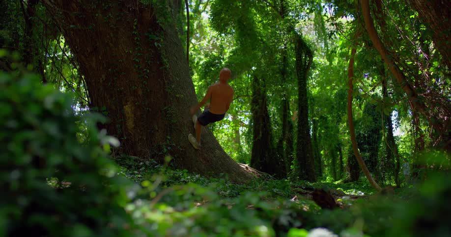A shirtless man wearing dark shorts runs up to a massive tree trunk in a lush sunlit tropical foresthe performs a backflip using the base of the tree as a springboard to launch himself high into the air