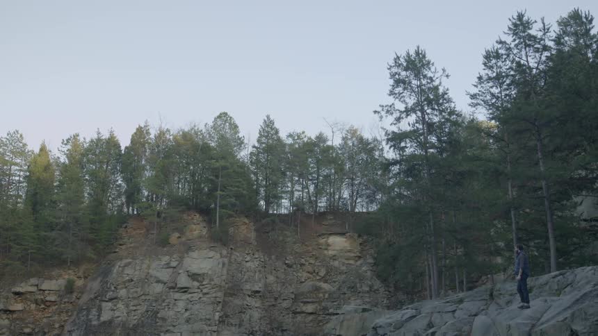 A person stands on a cliff surrounded by trees