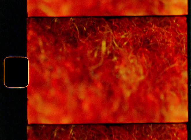 A stretch of land covered in dry grasses glows under a red light casting a stark vivid atmosphere across the scene