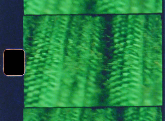 A brightly colored green frame resembling a segment of motion picture film or a material features blurred vertical and diagonal patterns