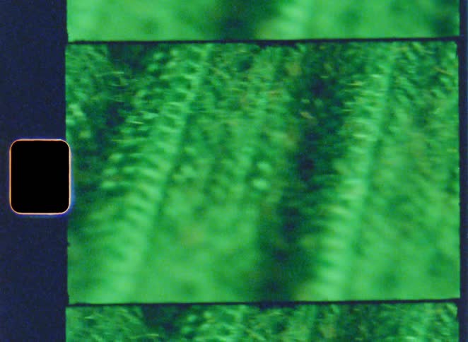 The film slide shows green fabric up close
