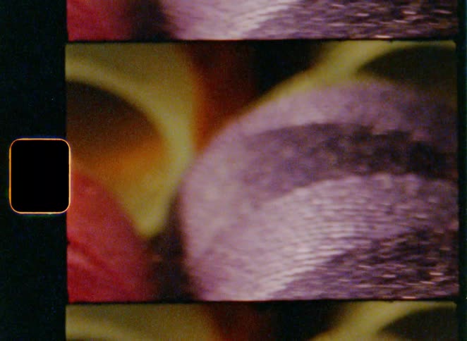 Spools hold thread in different shades including pinks and oranges