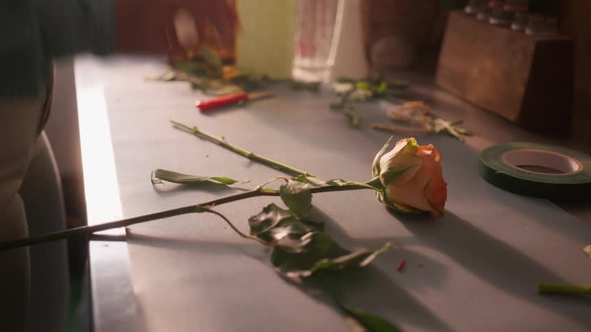 Hand in green checkered shirt places longstemmed rose on table with floral arranging tools