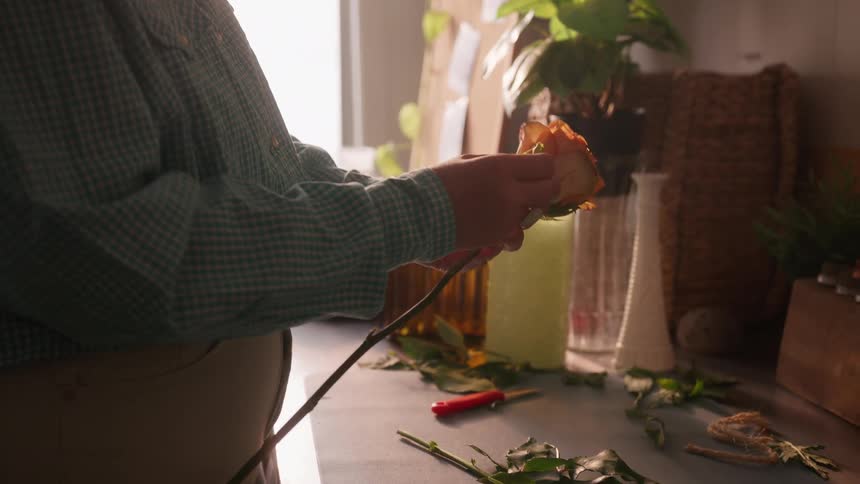 A persons hand holding a flower removing the yellow petals and placing them on a table
