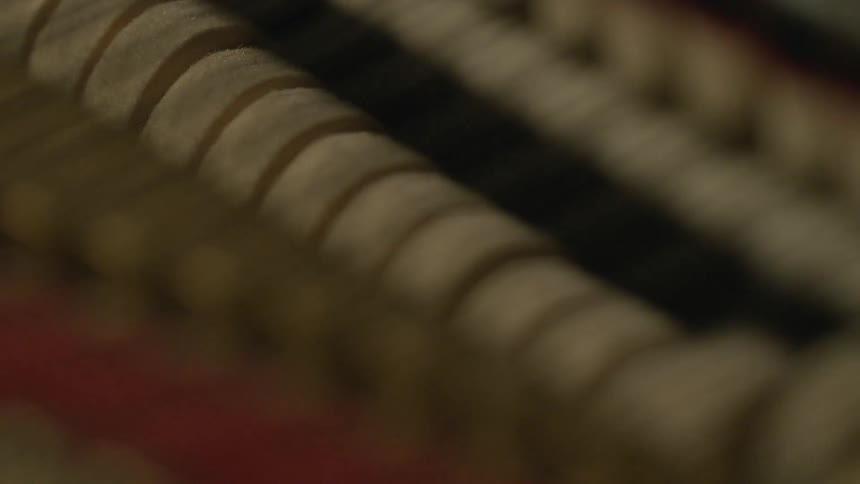 A close up view of what looks like piano parts on the inside