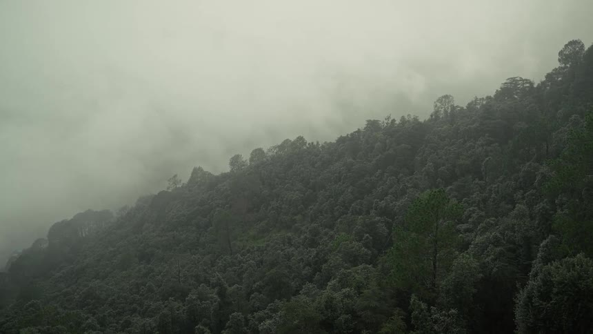 Clouds and fog over a forested mountain