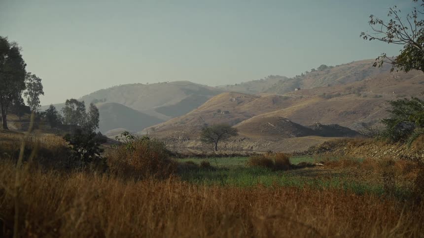Houses on the slope and a river in the mountain valley with trees and plants along the coast