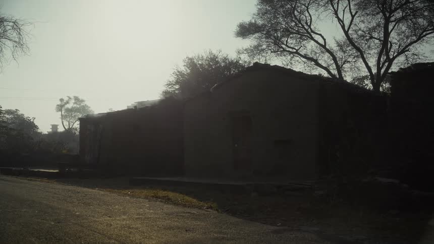 Rustic earthen building beside paved road surrounded by leafless trees under diffused light