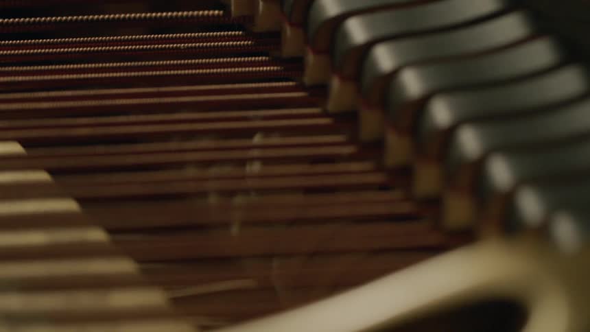 The inner workings of a piano are shown
