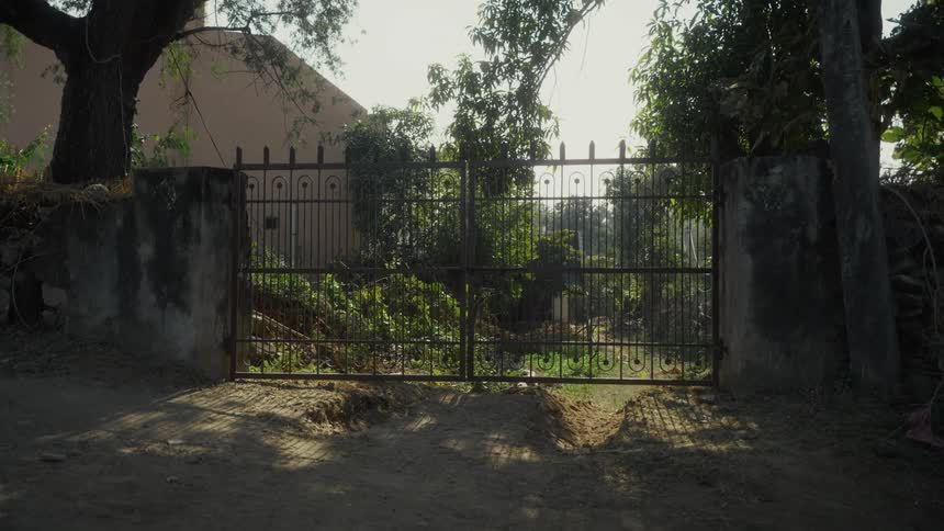 Closed metal gates containing bars in a repetitive pattern show an overgrown yard surrounding a building on a summer day