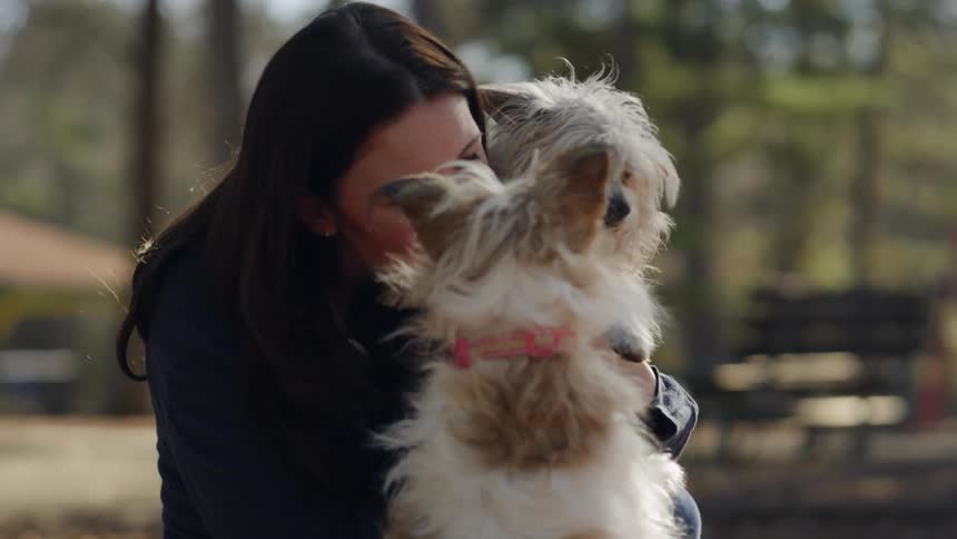 A woman is hugging her dogs