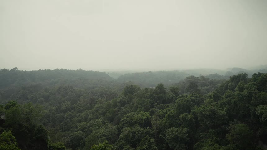 Aerial view of clouds and fog over the forest