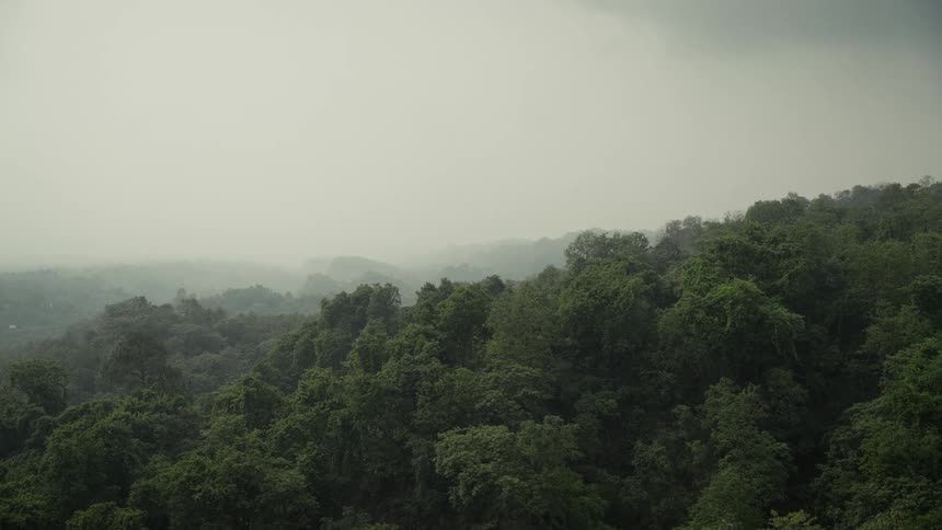 Fog partially obscures forested hills on an overcast day