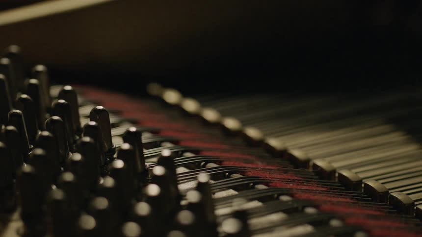 The piano strings fill this piano