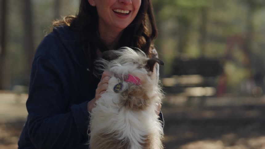 A woman pets two small dogs