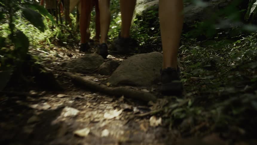 Following from a low angle a group of hikers ascends a sundappled jungle trail their feet navigating a rugged path of roots and stones