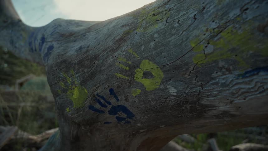 Tree trunk with colorful handprints in natural blurred background