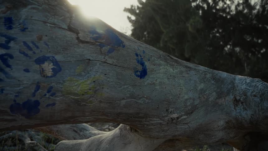 Handprints in paint are on the driftwood
