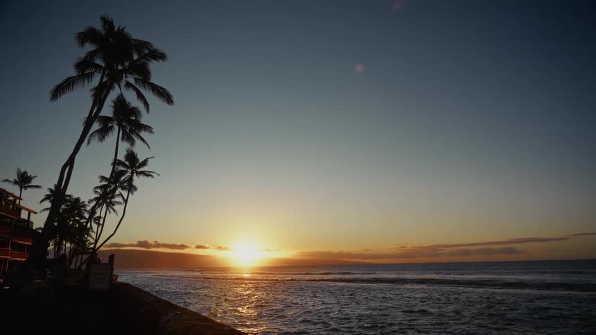 Sun on the horizon over the sea with a beach full of trees to the side during dusk or dawn