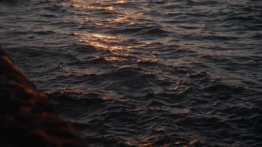 The sun is rising on the shore