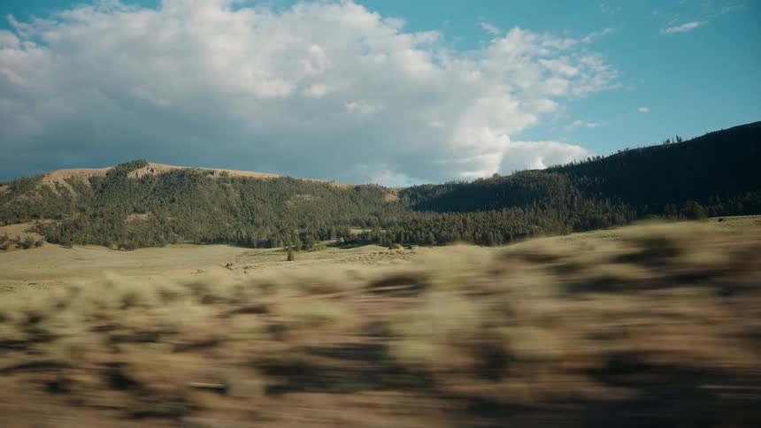 Plain field next to a forest with a hill on the background outdoors during day time