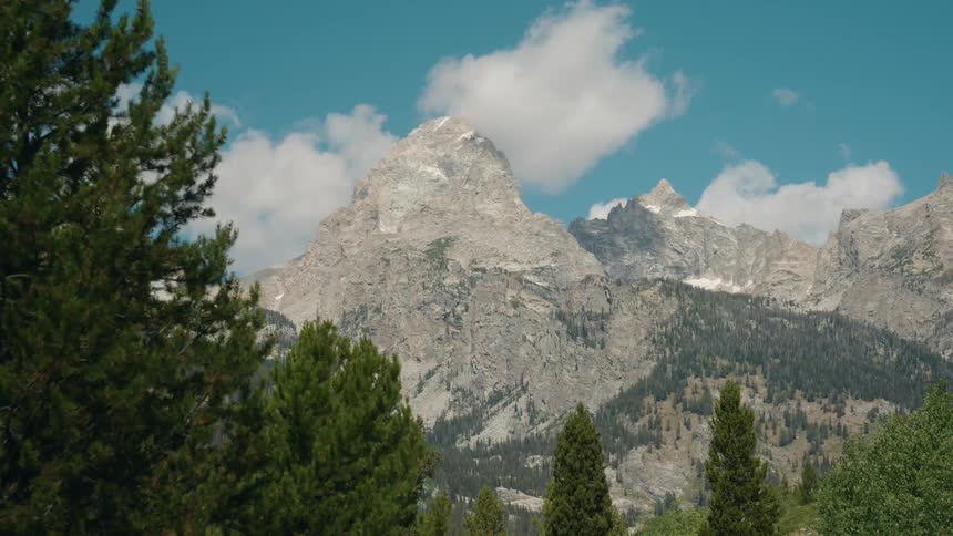 Rugged mountain peaks rise majestically above a green pine forest under a bright blue sky with white clouds