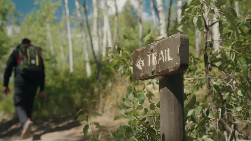 Wooden sign points to trail in forest with backpacked person walking among whitebarked trees