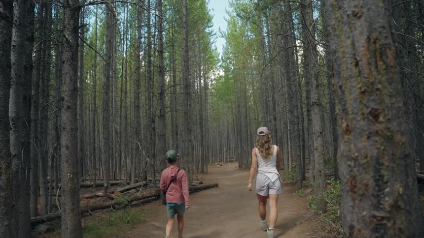 Two people walking along dirt trail in tall pine forest with serene atmosphere