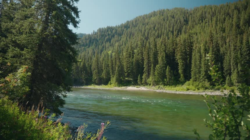 River between two slopes covered in trees outdoors during day time