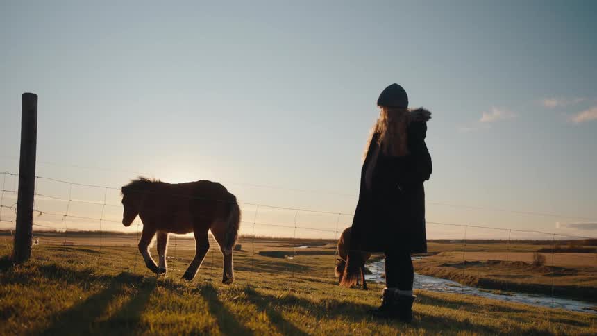 Person in beanie beside two ponies in field at dusk