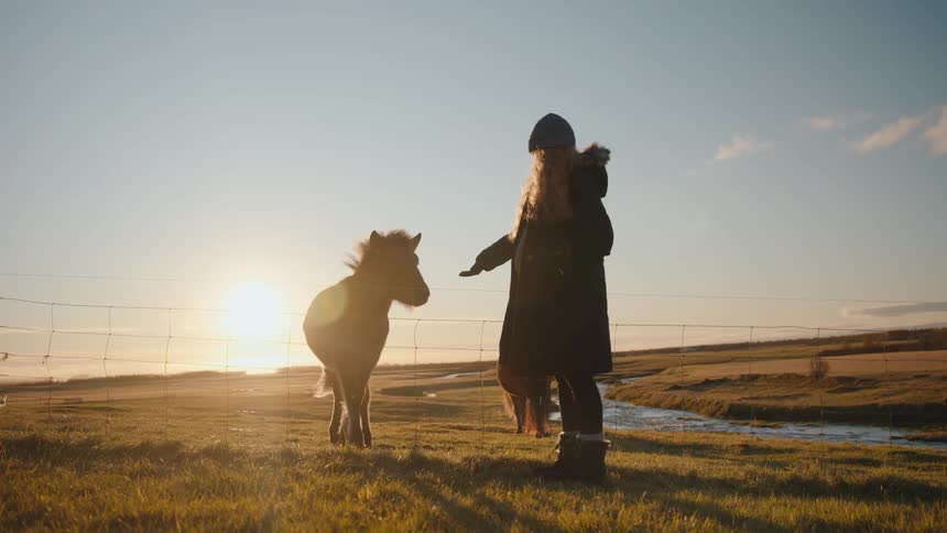 Woman in coat and beanie touching pony in field at sunset